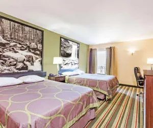 Photo 5 - Super 8 by Wyndham Hull Street Midlothian Richmond Area