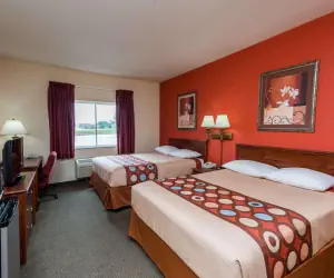 Photo 5 - Super 8 by Wyndham St Robert Ft Leonard Wood Area