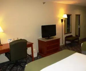 Photo 2 - Holiday Inn Express Hotel & Suites Lonoke I-40, an IHG Hotel