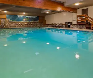 Photo 5 - Best Western Plus Tree House