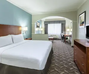 Photo 4 - Holiday Inn Express Hotel and Suites Lake Charles, an IHG Hotel