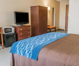 Photo 5 - Rodeway Inn