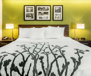 Photo 5 - Sleep Inn Charleston - West Ashley