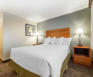 Photo 3 - Quality Inn