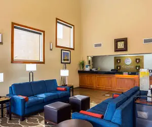 Photo 2 - Comfort Inn University Area