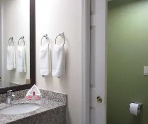 Photo 3 - Rodeway Inn