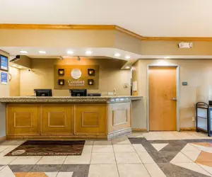 Photo 3 - Comfort Inn & Suites Mishawaka-South Bend