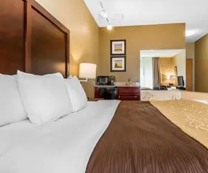 Photo 5 - Comfort Inn & Suites Mishawaka-South Bend