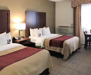 Photo 3 - Comfort Inn