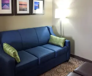 Photo 3 - Comfort Suites Regency Park