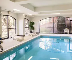 Photo 2 - Comfort Suites Regency Park