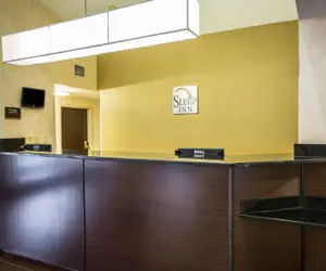 Photo 4 - Sleep Inn Asheville - Biltmore West