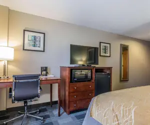 Photo 5 - Comfort Inn SW Omaha I-80