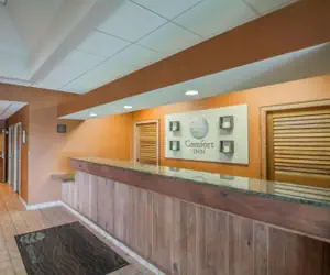 Photo 3 - Comfort Inn - NYS Fairgrounds