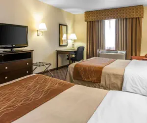 Photo 4 - Quality Inn