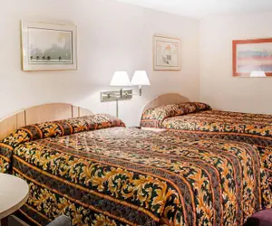 Photo 3 - Rodeway Inn