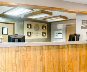 Photo 2 - Comfort Inn