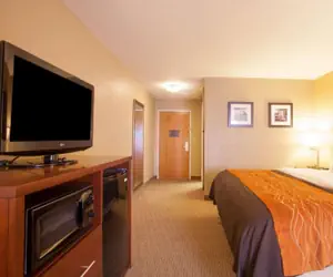 Photo 3 - Quality Inn & Suites I-40 East