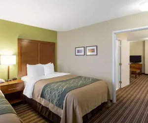 Photo 4 - Comfort Inn & Suites Fayetteville-University Area