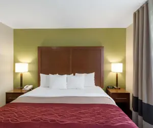 Photo 2 - Comfort Inn & Suites Fayetteville-University Area