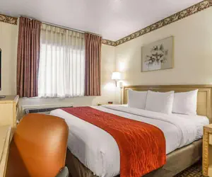 Photo 5 - Comfort Inn Palo Alto