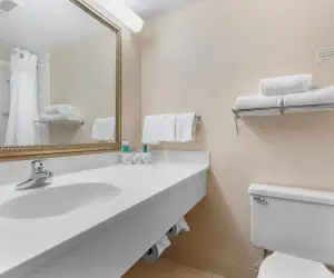 Photo 2 - Holiday Inn Express Chicago-Downers Grove, an IHG Hotel