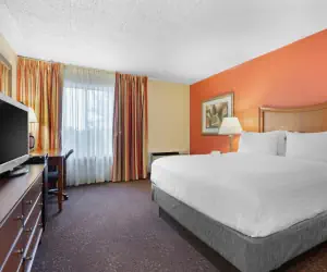 Photo 4 - Holiday Inn Express Chicago-Downers Grove, an IHG Hotel