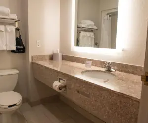 Photo 3 - Holiday Inn Express Hotel & Suites Elkhart-South, an IHG Hotel