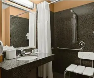 Photo 4 - Holiday Inn Scottsdale North- Airpark, an IHG Hotel