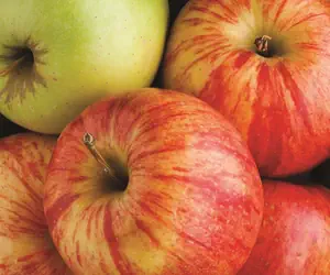 Photo 3 - La Quinta by Wyndham Bentonville