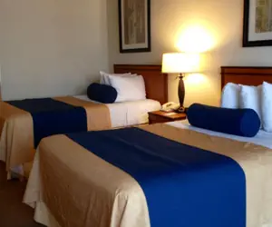 Photo 2 - Mikado Hotel