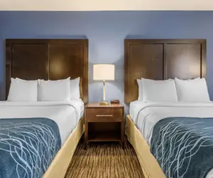 Photo 3 - Suburban Studios Arlington Heights Elk Grove