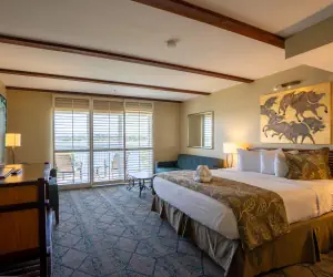 Photo 3 - The Dana on Mission Bay