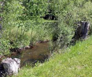 Photo 5 - Rodeway Inn Gunnison