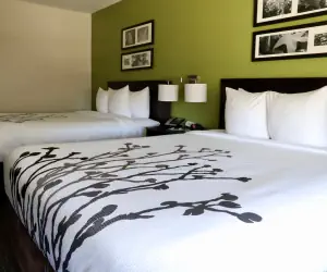 Photo 3 - Sleep Inn & Suites Belmont - St. Clairsville