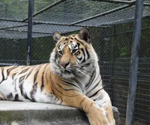 Photo 2 - Candlewood Suites - McDonough, an IHG Hotel