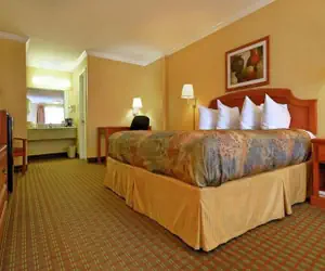 Photo 3 - Americas Best Value Inn Killeen Ft Hood