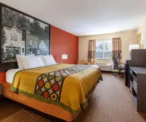 Photo 4 - Super 8 by Wyndham Big Rapids
