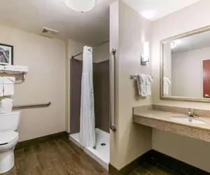 Photo 5 - Comfort Suites Hopkinsville near Fort Campbell