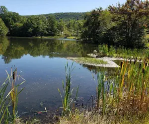 Photo 5 - The Chateau Resort