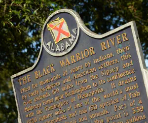 Photo 3 - Hotel Indigo Tuscaloosa Downtown, an IHG Hotel