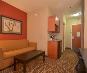 Photo 5 - Holiday Inn Express & Suites Pine Bluff/Pines Mall, an IHG Hotel