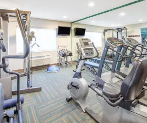 Photo 5 - Holiday Inn Express Hotel & Suites Bishop, an IHG Hotel