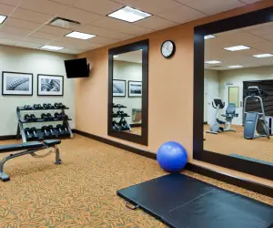 Photo 3 - Holiday Inn Express Hotel & Suites Huntsville West - Research Park, an IHG Hotel