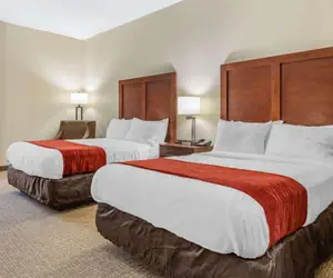 Photo 3 - Comfort Inn & Suites Clemson - University Area