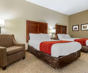 Photo 4 - Comfort Inn & Suites Clemson - University Area