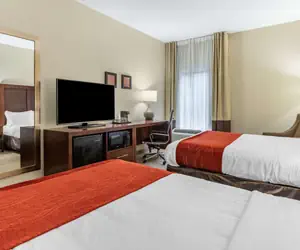 Photo 5 - Comfort Inn & Suites Clemson - University Area