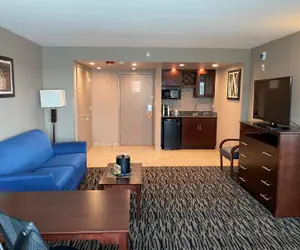 Photo 3 - Wyndham Garden Elk Grove Village - O'Hare