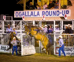 Photo 3 - Holiday Inn Express & Suites - Ogallala, an IHG Hotel