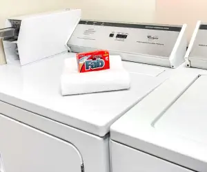 Photo 4 - Super 8 by Wyndham Laurel